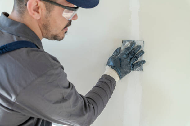 Best Water-Damaged Drywall Repair  in St Joseph, MN